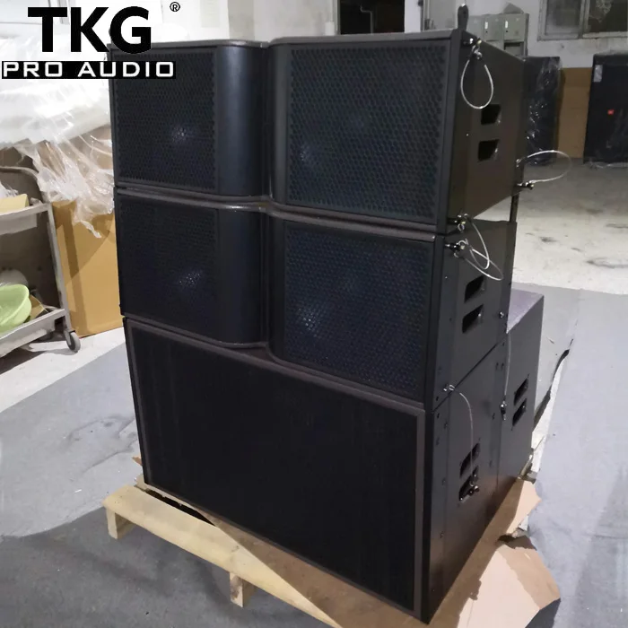 TKG KARA2112 1000 Вт двойной 12 дюймов наружная звуковая система dj линейный массив динамиков