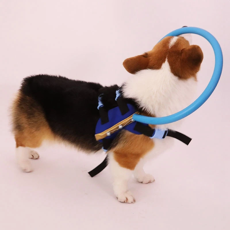 Топ!-Pet анти-столкновения кольцо катаракта защита животных кольцо Руководство Собака лепидоптер щенок собака S