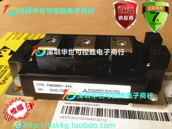 

CM300DY-24A CM400DY-24A CM200DY-24NF CM300DY-24NF --HSKK