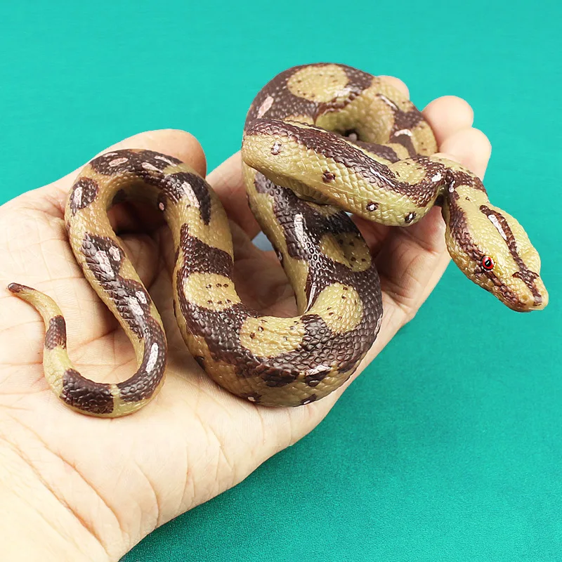 

simulation Python solid wildlife biological model snake children toys collection
