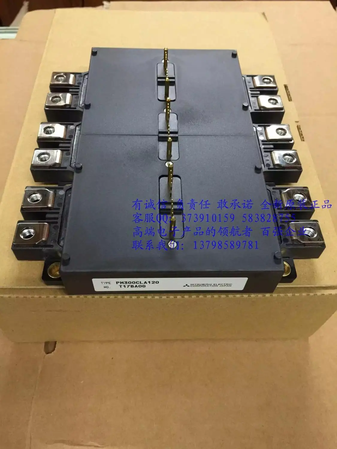 Прямая поставка молнии PM300CLA120 PM300CL1A120- HNTM