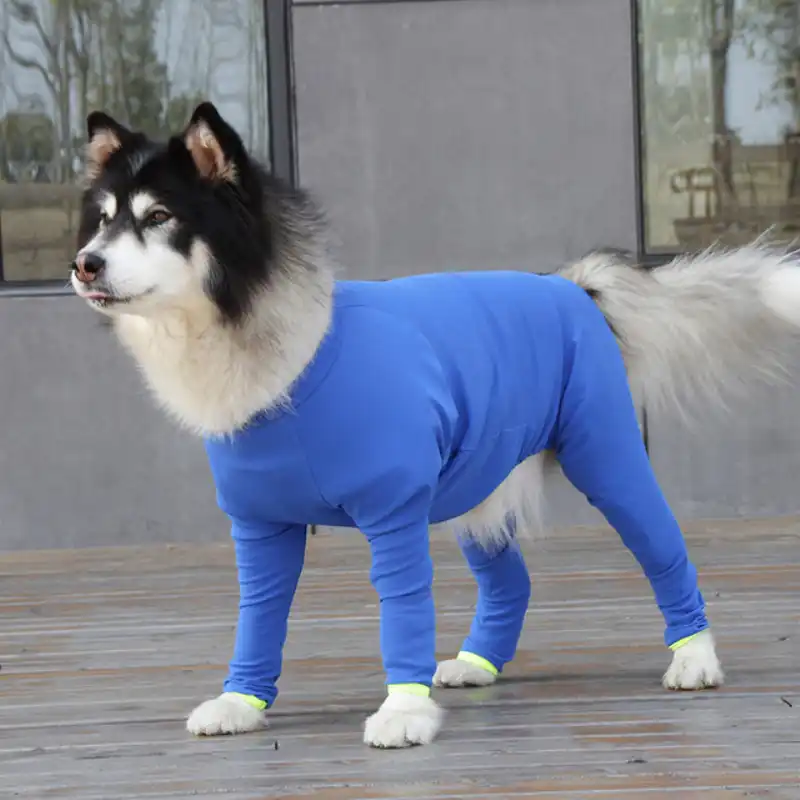 husky clothes