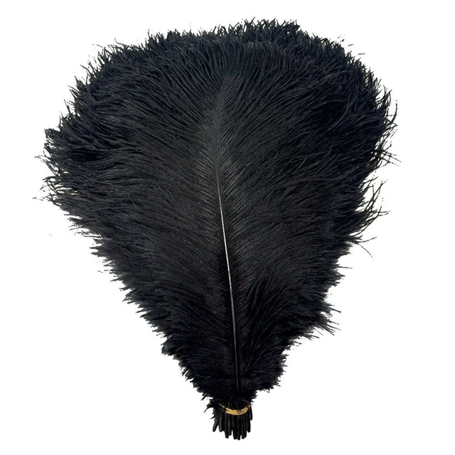 Wholasale Elegant 10PCS BLACK Ostrich Feathers for Crafts 25-30cm Wedding  plumas