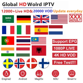 

World HD iptv subscription 10000+ HD 4k live android tv box europe dutch spain arabic USA UK german smart tv IPTV M3U mag enig