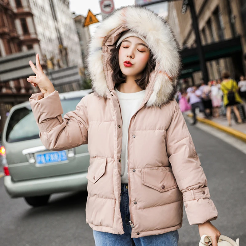 NU1123P(2)