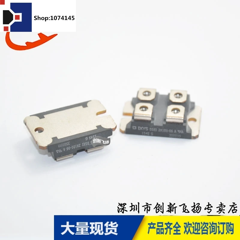 DSEI2X101-06A/