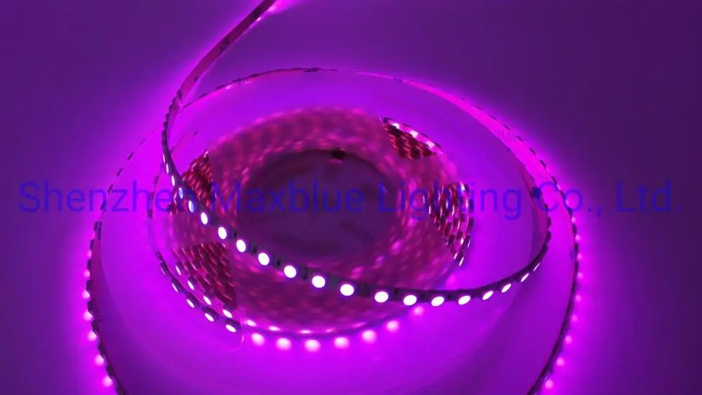 SMD4040 мини RGB Светодиодные ленты 5 м 120 светодиодный s/M 24Vdc Светодиодная лента RGB светодиодный лента светильник