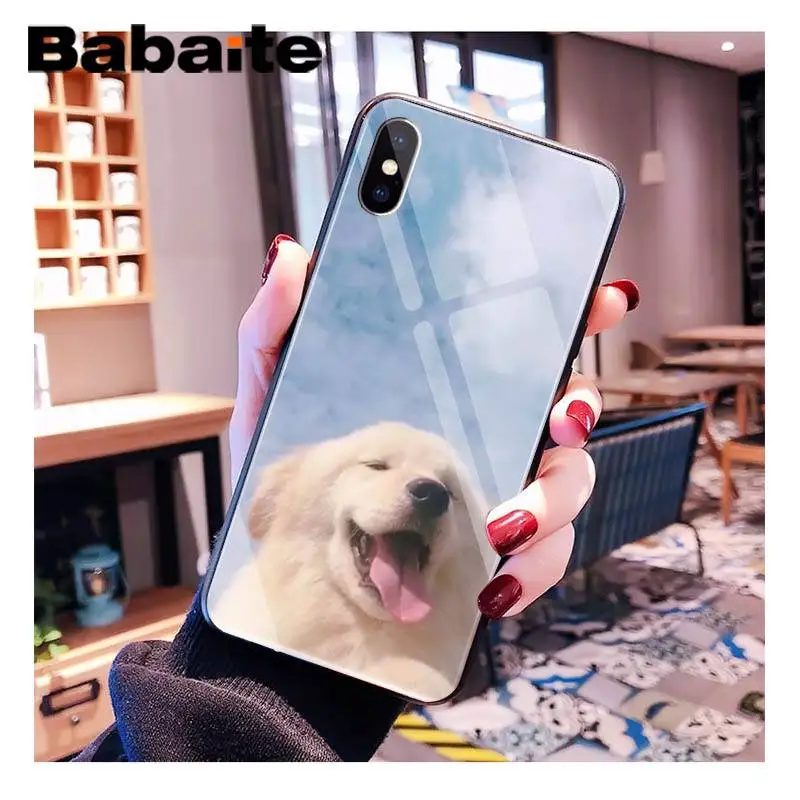 Babaite улыбающийся Ангел животное милая собака клиент высокое стекло чехол для телефона для iPhone XR XS MAX X 7 8 6S Plus 11 11Pro 11Pro max - Цвет: A9