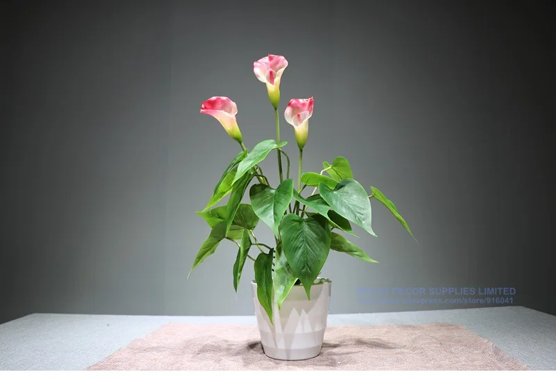 5 букет Калла-(3 цветка+ 18 шт листьев корня) тюльпан Настоящее прикосновение Свадебный Открытый Искусственный Водонепроницаемый цветок