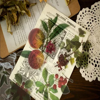 

10sheets/pack 8 Designs Plant Specimen Stickers Transparent PET Material Flowers Leaves Plants Deco Stickers