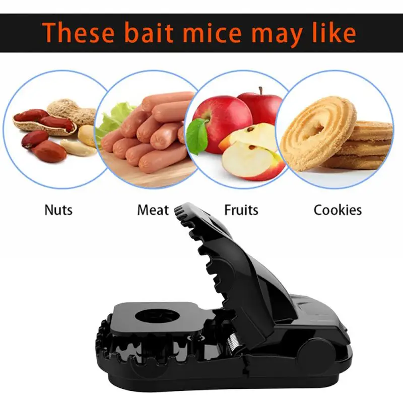 Mouse Favorite Food For Trap