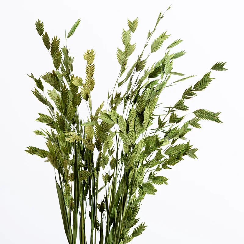 

Hipster Natural Dried Flower Bouquet Freshness Preserved Fresh Flower Home Decoration Diamond Grass Long 70 Cm Photographic Prop
