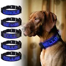 Collar con luz LED para perro, dispositivo de seguridad nocturna para cachorro, con pantalla de texto, desplazamiento programable, recargable