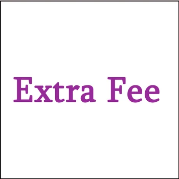 

Extra Fee Shippng Fare Make up the difference price