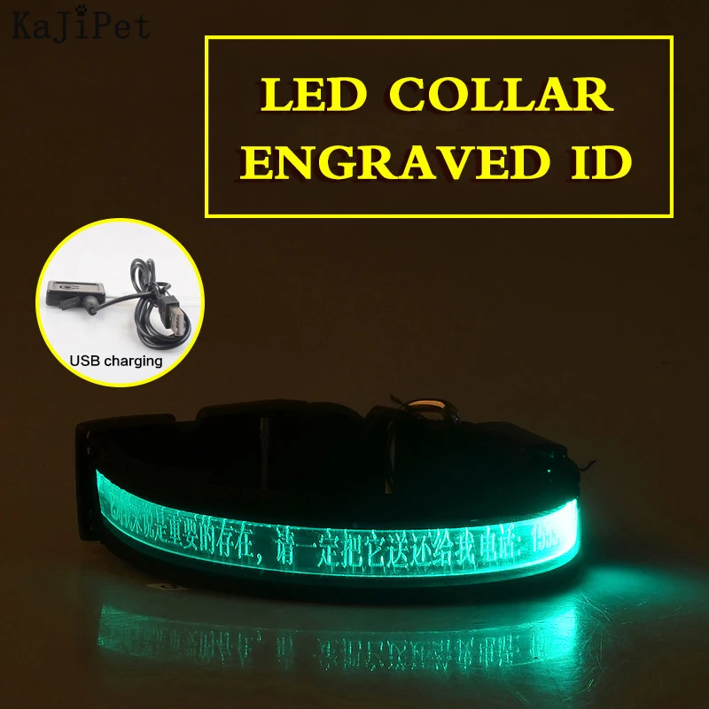 Dog Collar Personalized Luminous USB Rechargeable Glowing Collar For Dogs Pets Light Night Safety Personalized Nylon Dog Collars padded dog collars	 Dog Collars