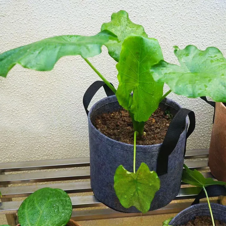 12089431048_1432856766