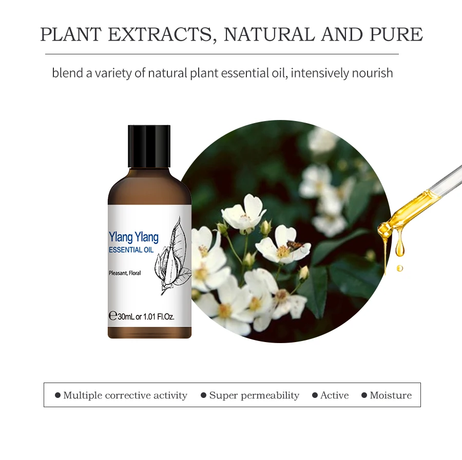 H9b530a466382417ebfa029904328cbc8Y Beauty-Health 1OZ Eucalyptus Essential Oils