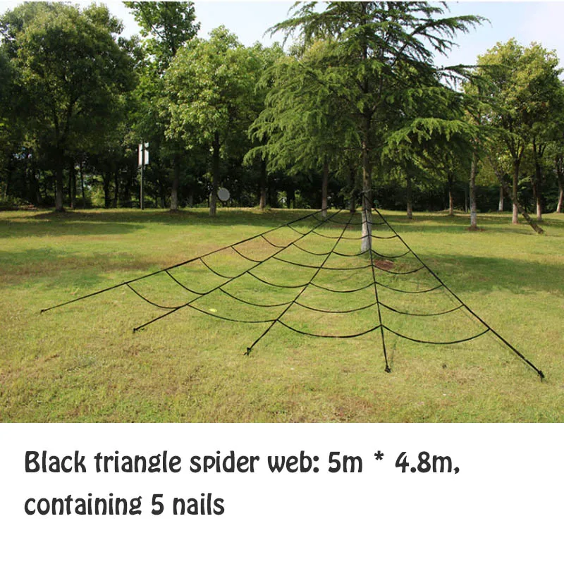 Black triangle spider web 5m- 4.8m