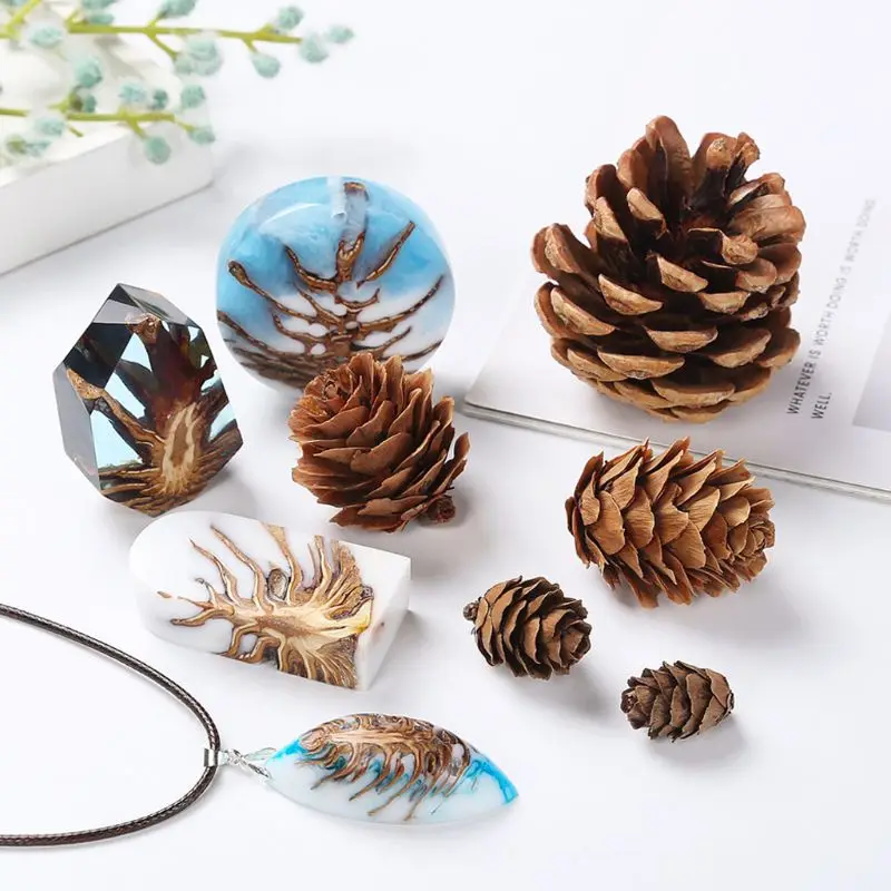 

Pine Cone Natural 0.4"- 2" Hand Selected All Natural Premium Quality Cones Decorative Home Decor Resin Jewelry Art Craft