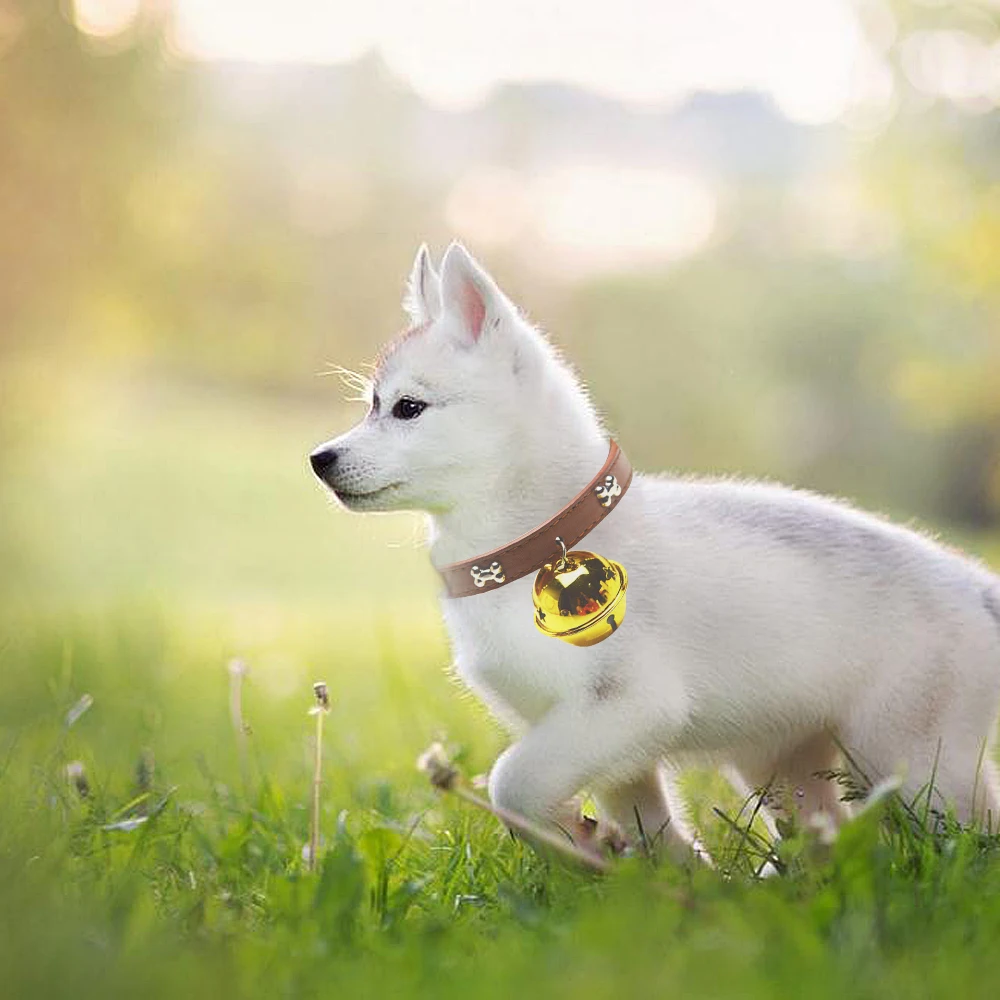

Metal Bone Decorative Pet Dog Collar With A Big Bells Durable PU Leather Adjustable Puppy Cat Strap Dog Supplies For Small Dogs