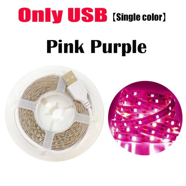 Bluetooth Control RGB 5050 2835 LED Lights Strip USB 5V Flexible Lamp Tape Diode Festival Fita White Tira Luces TV PC Desk Luz Onlly USB Pink