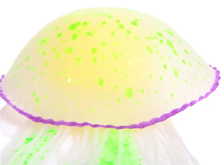 3767079926_1795609573