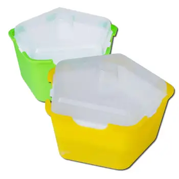 

Plastic Planting Box Pentagonal Box Sprouts Seedling Tray Multifunctional Planting Box Cat Grass Planting Box