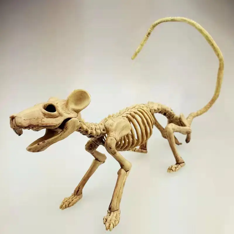 de halloween keleton animal reaper ossos animais em veterinária ciência