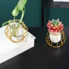 Geometric Metal and Glass plant holder 2