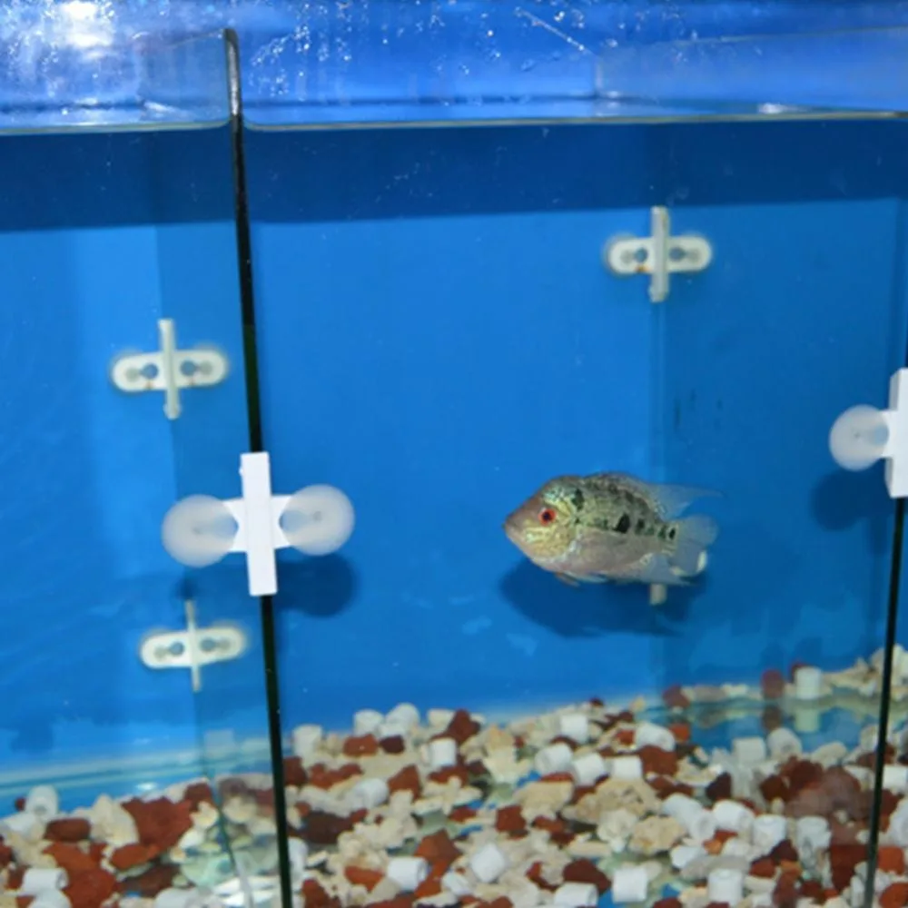 5 шт. аквариумные рыбки разделитель для емкости на присоске разделитель черный белый пластиковый лист держатель набор рыбы продукт