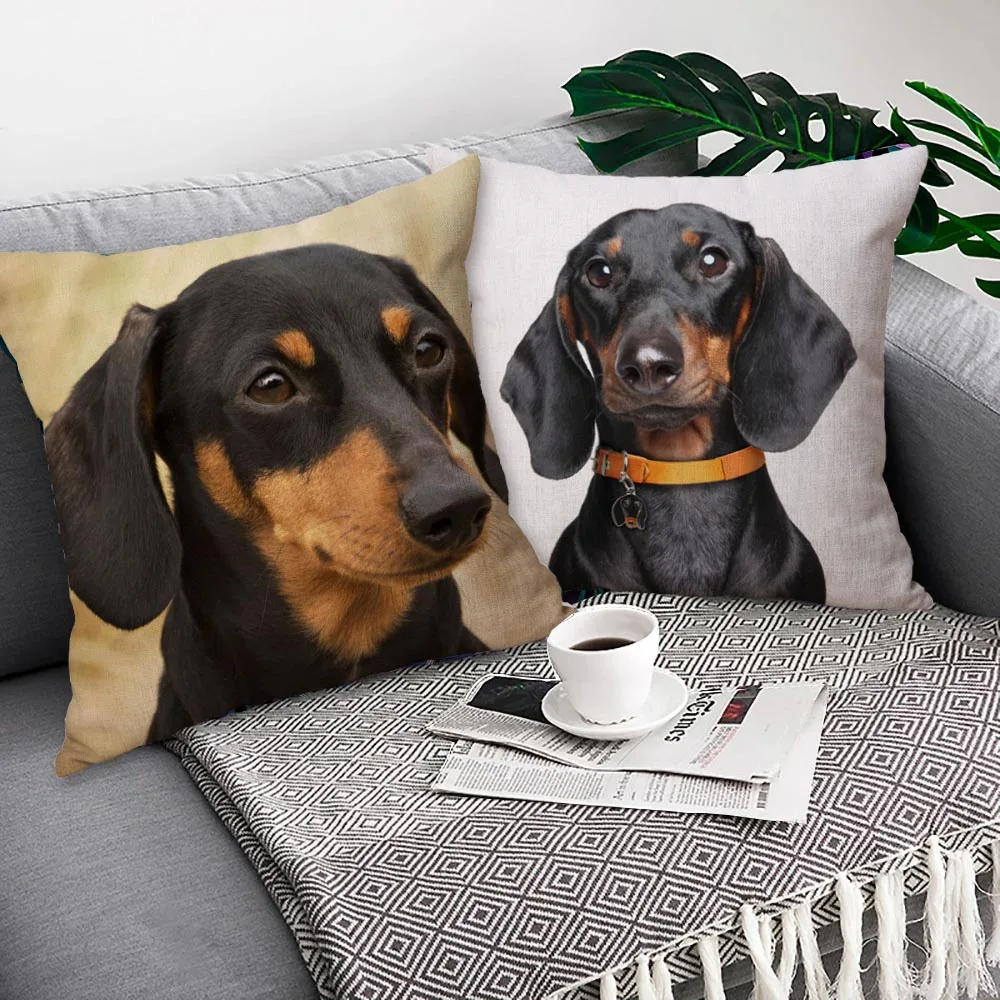 Dachshund Dog Cushion Covers Pet Love Animals 45X45cm Beige
