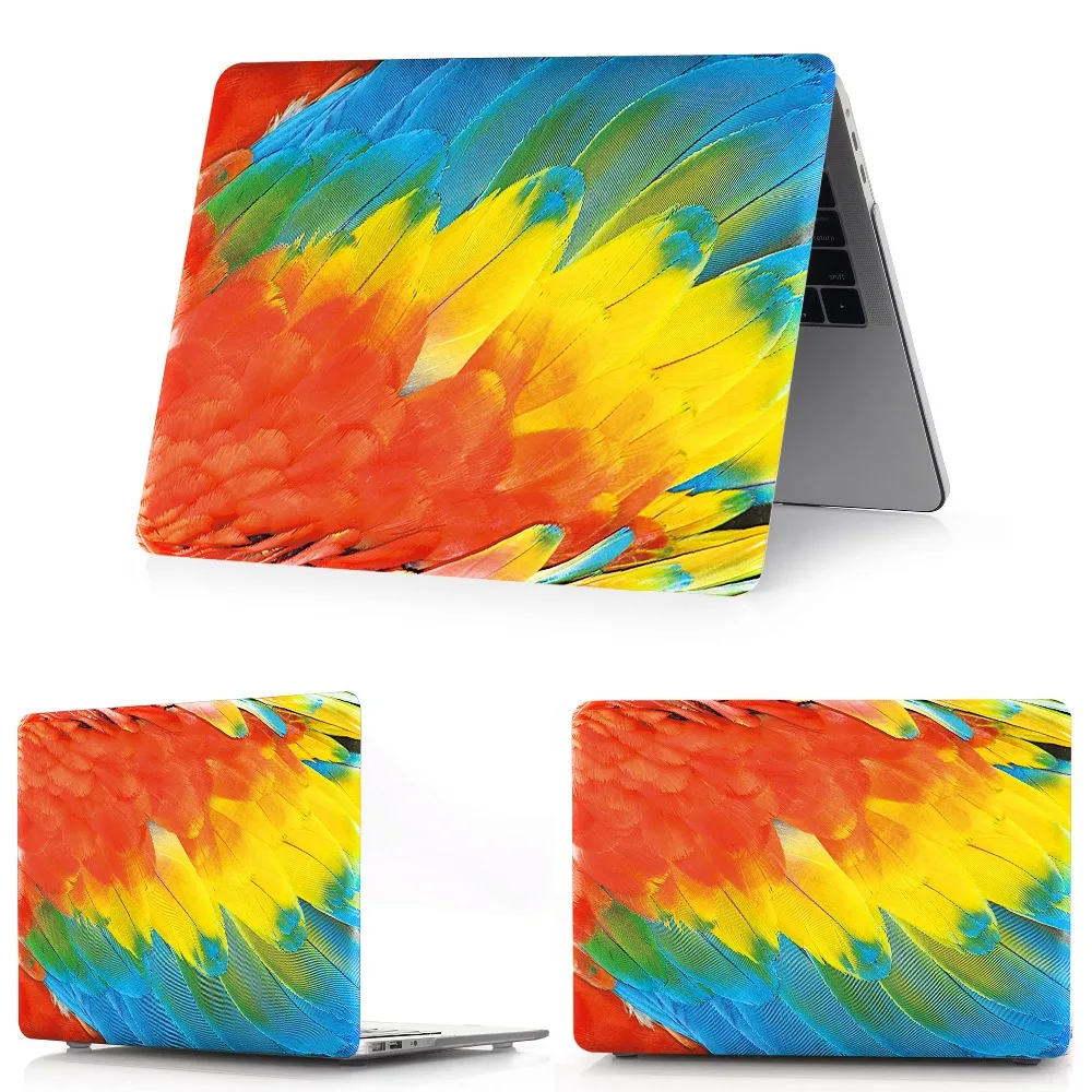 彩色色羽毛  (0)_调整大小