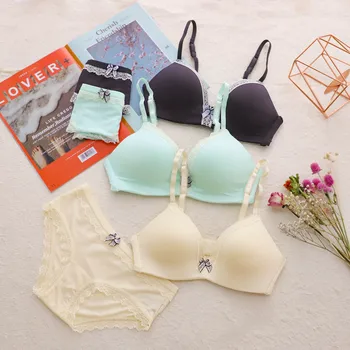 

French Bras Set With Thin, Comfortable, Steel-Free Triangular Cup Underwear Sexy Lace Wrap