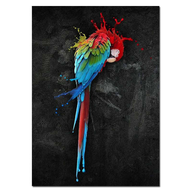 canvas animales
