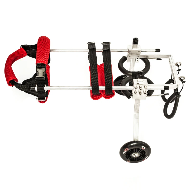 Собака инвалидная коляска задняя конечность домашнее животное помощь ходьба транспортное средство для инвалидов позвоночник задняя нога травмированная Собака Тедди сад собака светильник