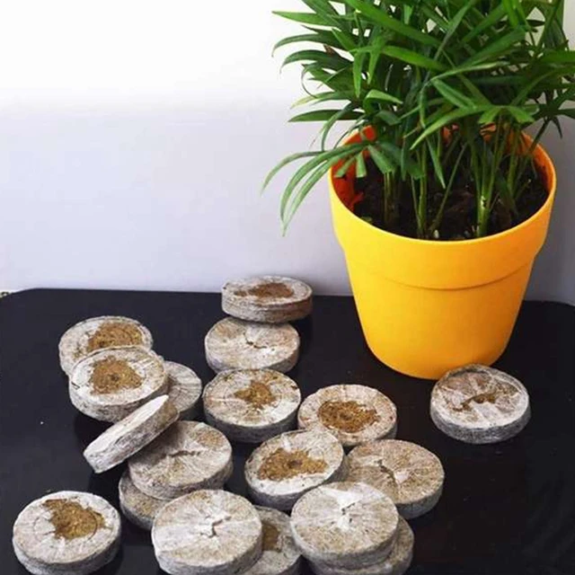 100Pcs Professional Peat Pellets Plant Starting Soil Block Jiffy Seedling Plugs Environmental Garden Nursery 6