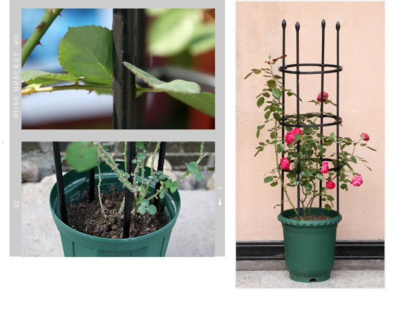 Лоза кронштейн Botany arбор китайская Роза клематис Лотос для подъема группа Закрыть цветок стойки балкон опорная рама