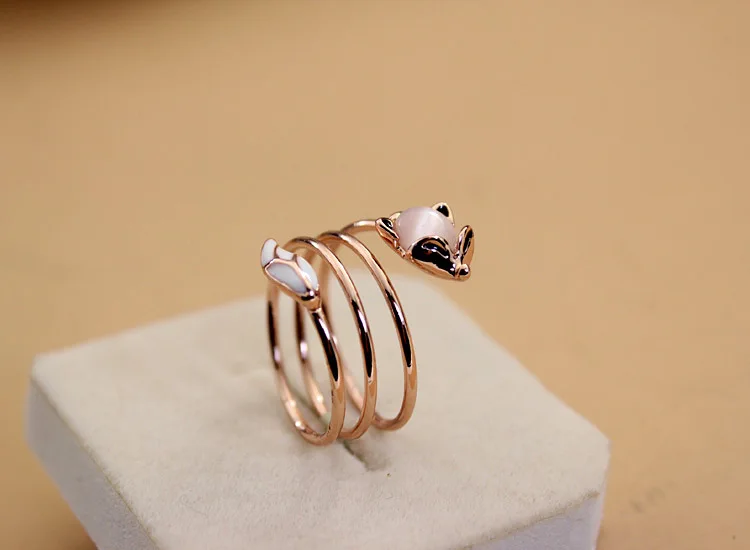 12385121698_1492657371