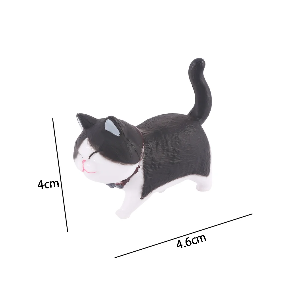 尺寸