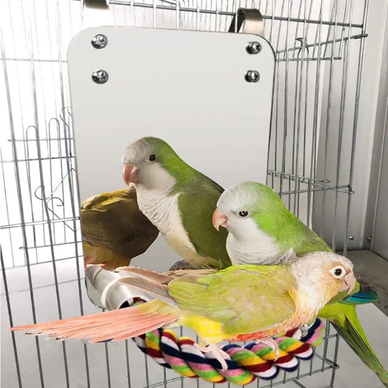 Попугай веселый для животных игрушечное зеркало Cockatiel Маленькие Птицы попугаи