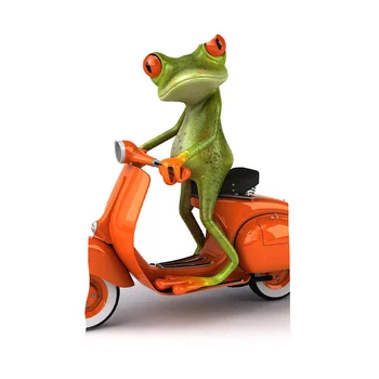 

2020 Summer NewFunny 3d T Shirt Summer Hipster Short Sleeve Tee Tops A frog on a bike T-Shirts Short sleeve tops