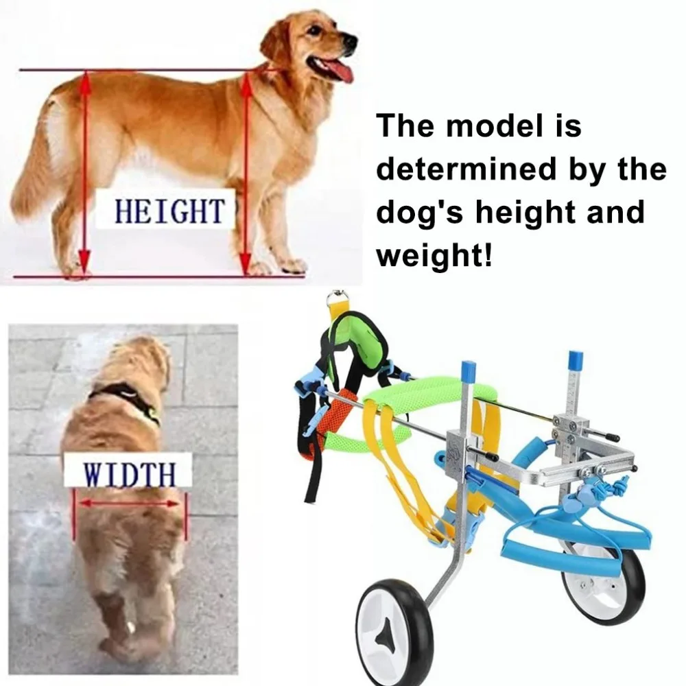 CP269801-C-20120407-1