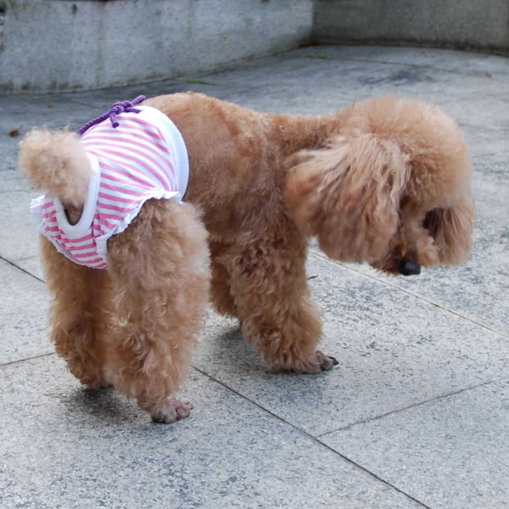 Pet Physiological Pant Diaper Sanitary Washable Female Dog Shorts Panties Menstruation Underwear Briefs dog diapers,pet diapers,dog nappies,dog shorts