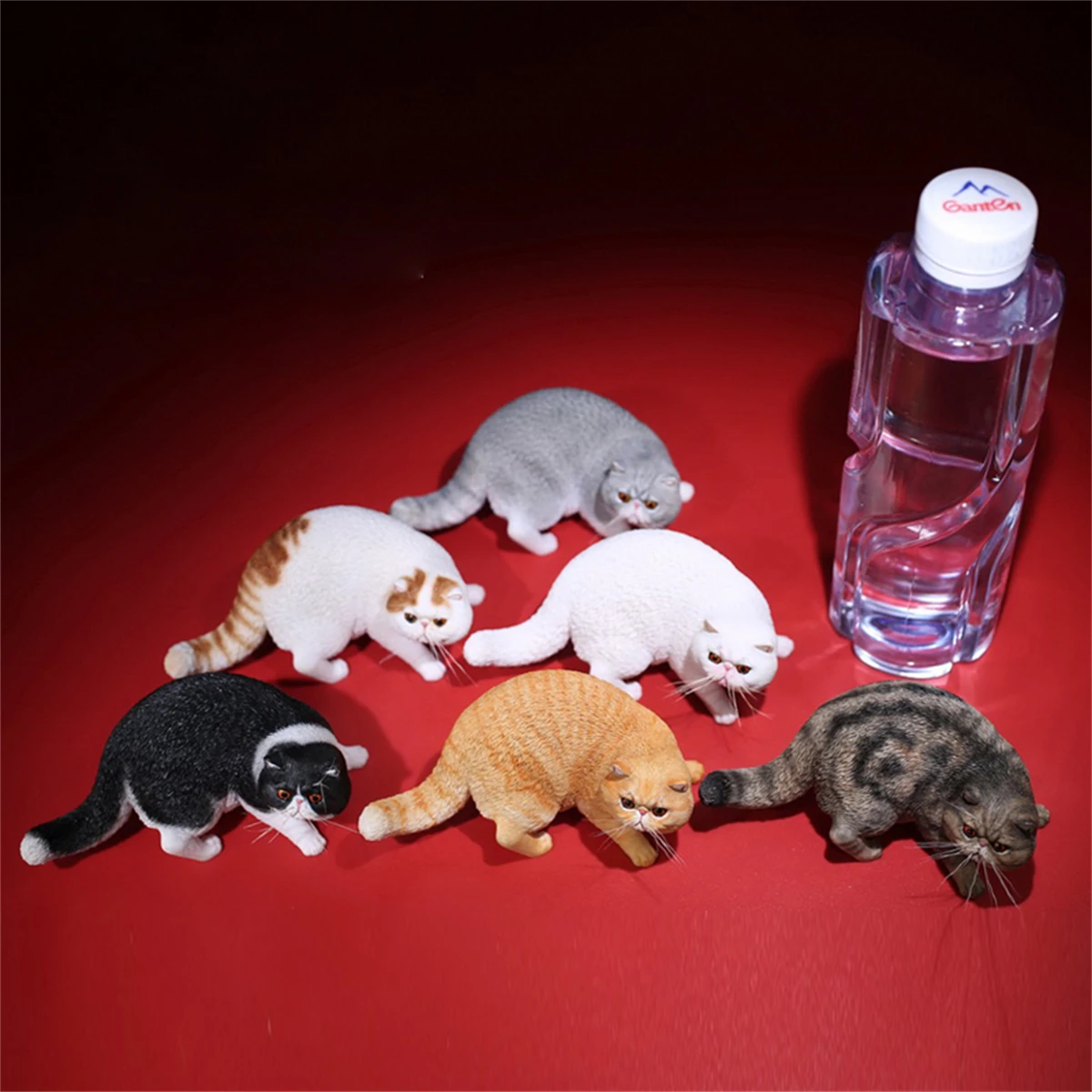 

Mr.Z 1/6 Exotic Shorthair Figure Cute Pet Cat Animal Model Crafts Decor Toy Desktop Ornaments for Children Adults Kids Xmas Gift
