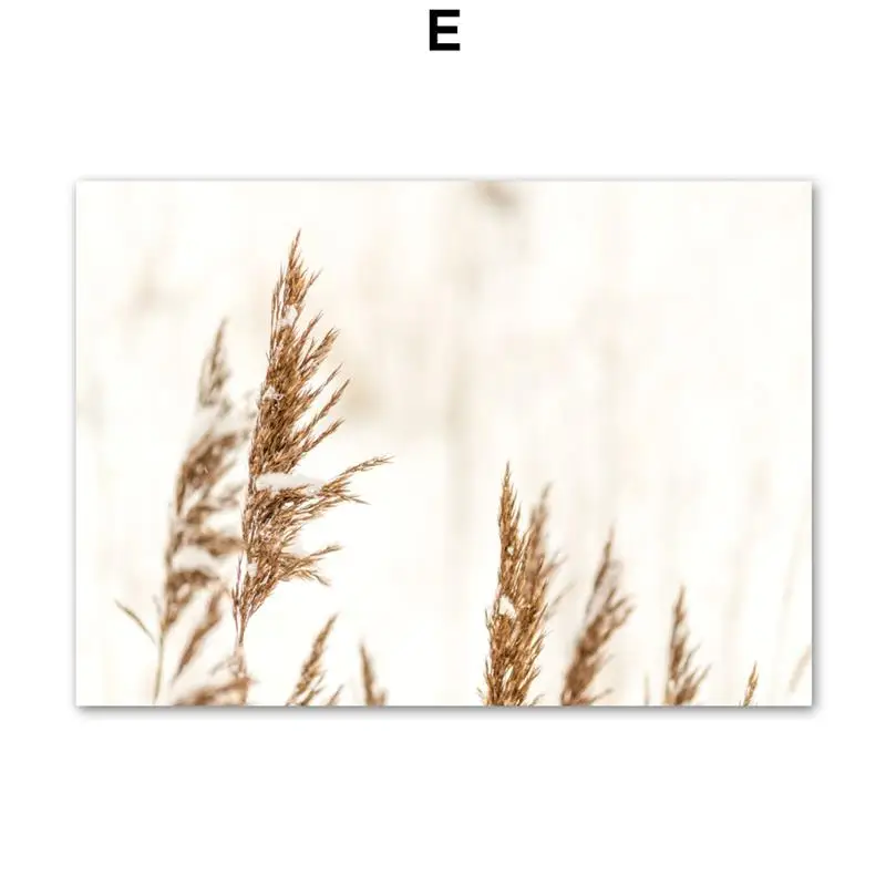 Wall-Art-Canvas-Painting-Beige-Reed-Cotton-Plant-Leaves-Nordic-Posters-And-Prints-Landscape-Wall-Pictures (7)