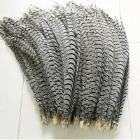 10pcs Lady Amherst pheasant feather 80-100 cm Long 1
