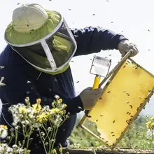 Нержавеющая сталь Мёд скребок 2-в-1 с вилка для меда Лопата резак Пчеловодство инструмент