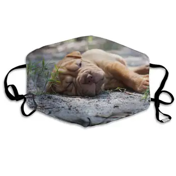 

Custom Anti-Dust Mouth Mask Sleeping Dog Reusable Outdoor Face Mask with Adjustable Earloops Breathable Mouth Cover for Teens