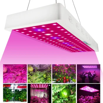 

1000W Full Spectrum LED Grow Light Kit For Medical Plants Veg Bloom Indoor