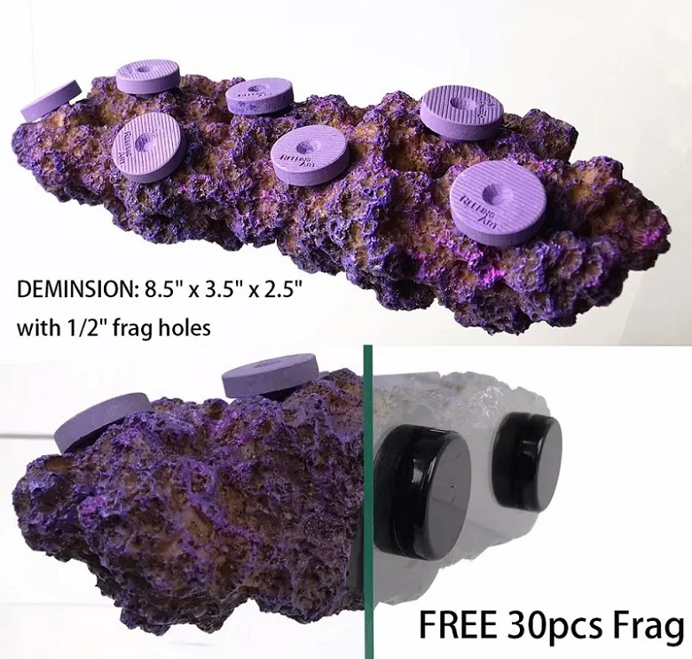 H5d8c470aa0274931ae954f5c7001c1dbg